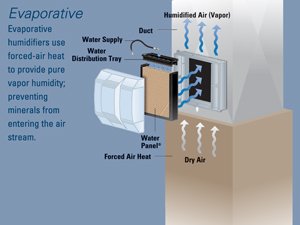 Whole Home Humidifier Versus Room 