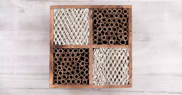 Build-Your-Own-Mason-Bee-House