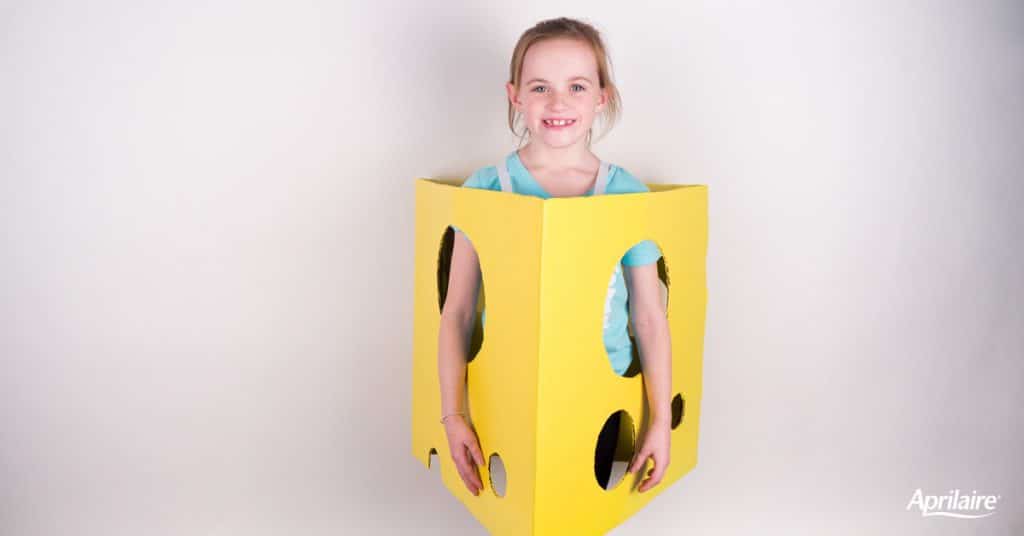 Cheese-Costume-For-Kids-Finish